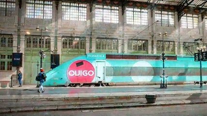 TGV Ouigo : La qualité des services en déclin ?