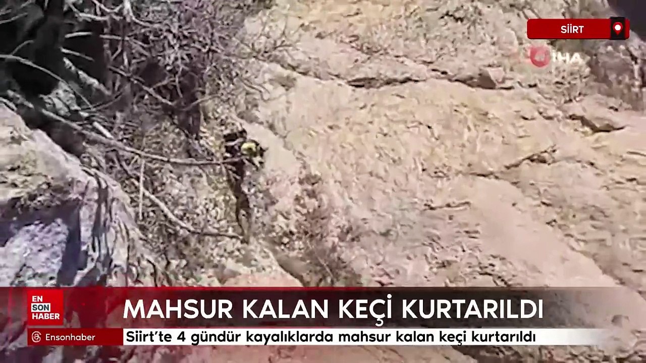 Siirt'te 4 gündür kayalıklarda mahsur kalan keçi kurtarıldı