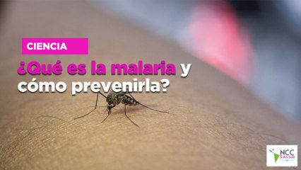¿Qué es la malaria y cómo prevenirla?