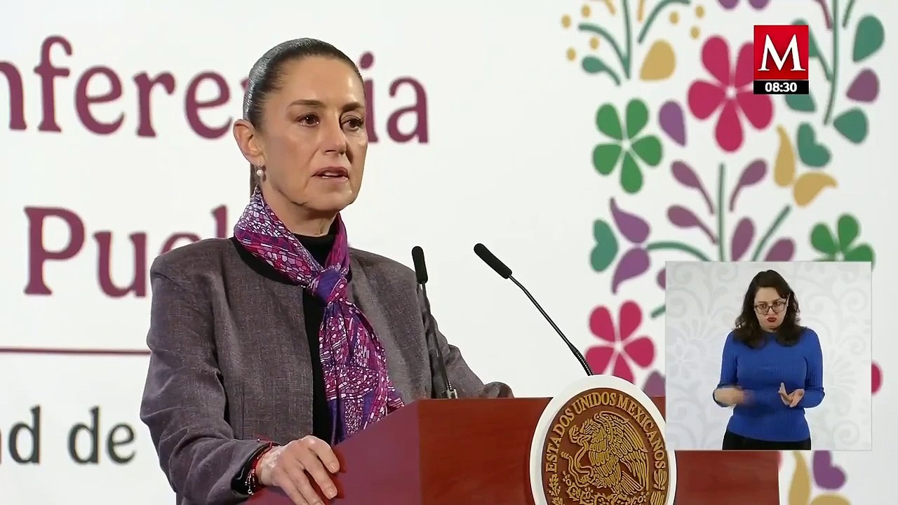 Sheinbaum alista prohibición de siembra de maíz transgénico