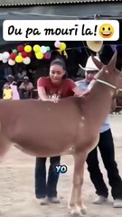 gentleman and ladies meet Mr zuku the angry donkey