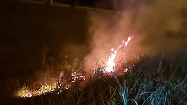 Incêndio em vegetação é registrado às margens da PRc-467 em Cascavel