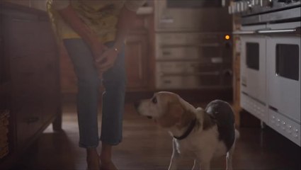 Princess Lilibet heard for first time as Meghan Markle shares intimate family video