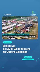 Exposoya, del 20 al 22 de febrero en Cuatro Cañadas