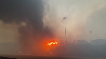 Pacific Palisades Wildfire Footage