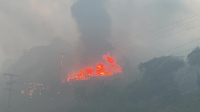 Pacific Palisades Wildfire Footage