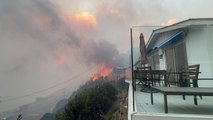 Pacific Palisades Wildfire Footage