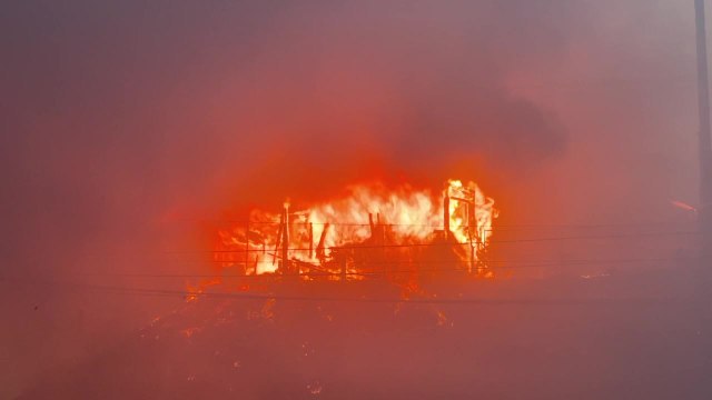 Pacific Palisades Wildfire Footage