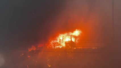 Pacific Palisades Wildfire Footage