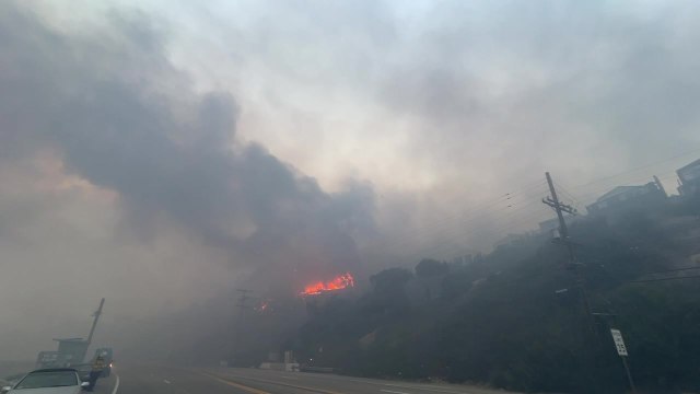 Pacific Palisades Wildfire Footage