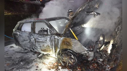 대전 하소동 계곡 SUV 추락...운전자 추정 1명 사망 / YTN