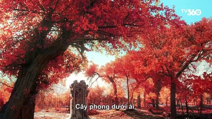 01 Thao Thiết Ký: The Legend of Taotie 🐉 - Epic Fantasy Adventure