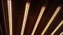 545mm 230v 2400w twin tubes infrared halogen heating lamps ir emitters
