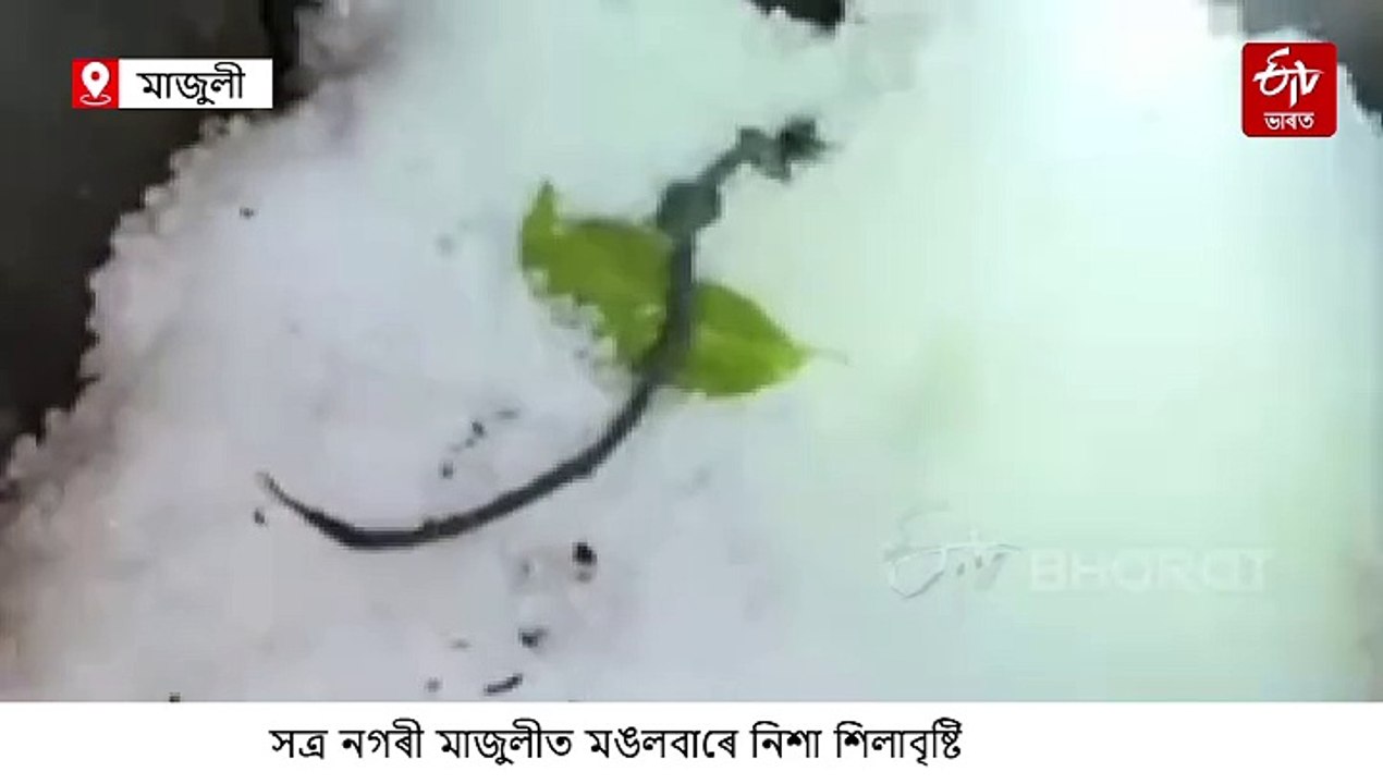 হীম সনা শীতৰ নিশা মাজুলীত শিল বৰষুণ