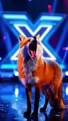 Amazing AGT video image collection 27