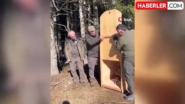 Yırtıcı Hayvan Saldırısından Yaralanan Karaca Doğaya Salındı