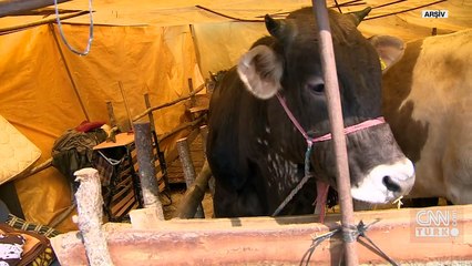 SANAL BÜYÜCÜNÜN AĞINA DÜŞTÜ! Sosyal medyadan ulaştığı kişiler dolandırıcı çıktı