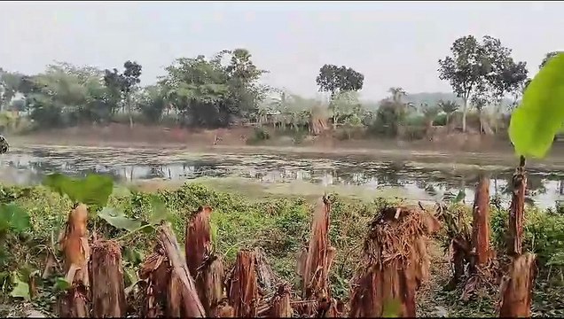 নদীতে কেউ নামবেন না, কারণ ঐ নদীটি পুরোপুরি বাংলাদেশের মধ্যে। বাংলাদেশ সেনাবাহিনীর প্রচারে নতুন করে বিতর্ক। ভারতীয়দের দাবি ঐ নদী ভারতের সীমান্তের মধ্যে। কৃষ্ণনগর বিএসএফ রেঞ্জের রংঘাট এলাকায় একটি নদী