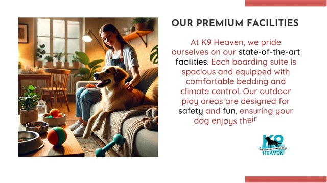 Kennels North Shore - Premium Dog Boarding Services At K9 Heaven