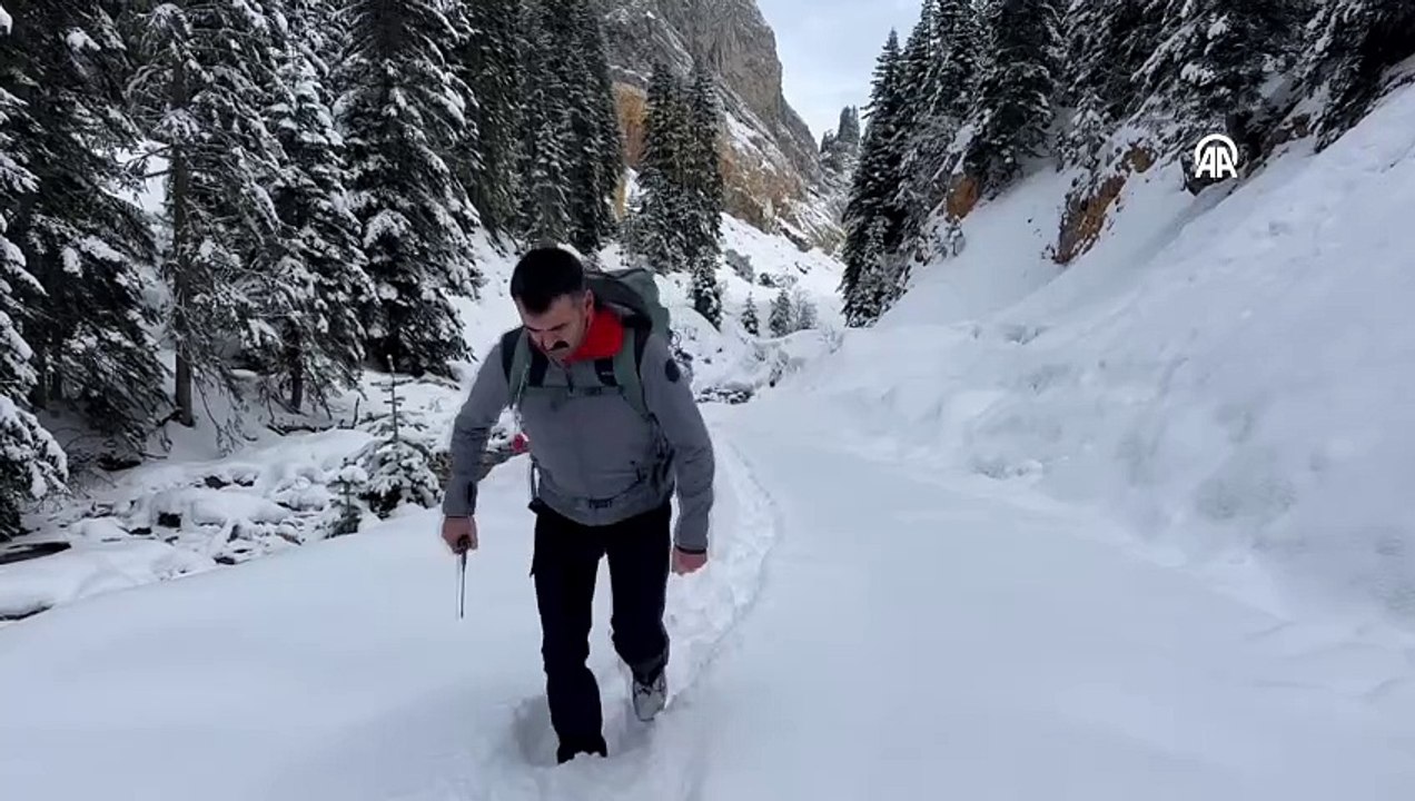 Anadolu\'nun yüce dağı Ilgaz doğa tutkunlarını cezbediyor