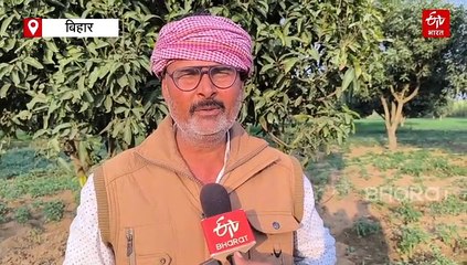 कभी नुकसान में नहीं जाएगी बेबी कॉर्न की खेती, भागलपुर में पहली बार शुरू हुई खेती