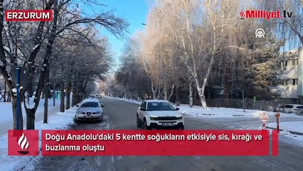 Doğu Anadolu'daki 5 kentte soğukların etkisiyle sis, kırağı ve buzlanma oluştu