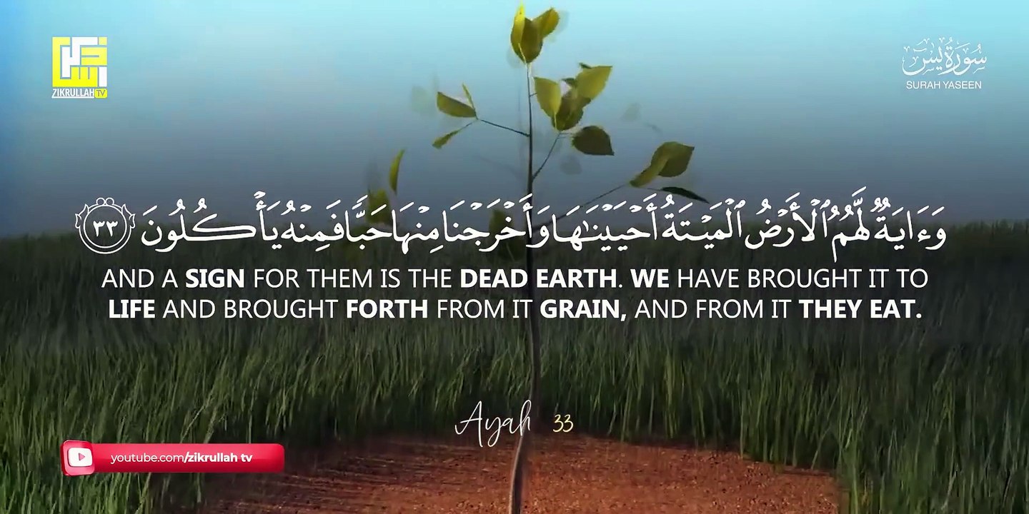 Most beautiful recitation of Surah Yaseen (Yasin) سورة يس ⋮ Zikrullah TV