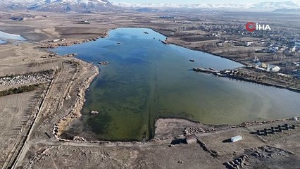 Cennet gibi göl cehennemi yaşıyor: Yüzlerce ölü balık kıyıya vurdu