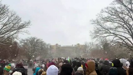 Luta de bolas de neve em Washington