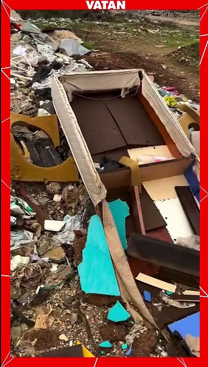 Tuğba Özay Manavgat'taki çöp manzarası karşısında çılgına döndü!