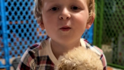 Mom shares 5 y/o son's adorable reaction to welcoming a tiny puppy into the family