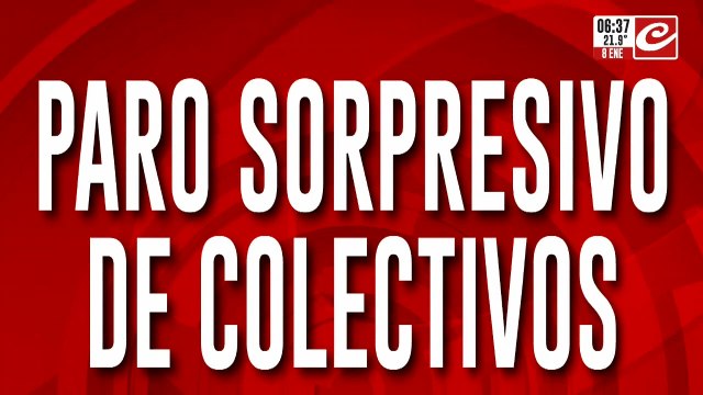 Sorpresivo paro de colectivos: ¿cuáles son las líneas que no funcionan?