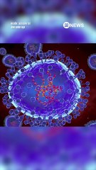 VIRUS GÂY BỆNH NGUY HIỂM Ở TRUNG QUỐC