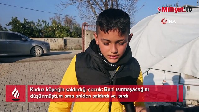 Kuduz köpeğin saldırdığı çocuk: Hiç havlamadan ayağıma atladı ve ısırdı