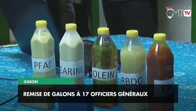 [#Reportage] Gabon : la production de régimes de palme en baisse de 23% au 3e trimestre 2024