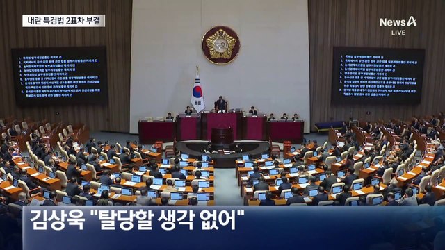쌍특검법 재의결 부결…여당 6명 이탈 추정