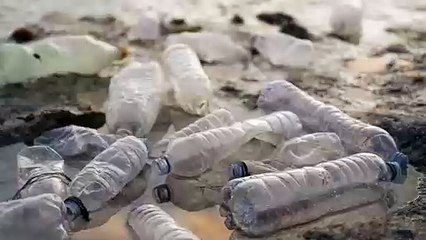 Plantez des arbres gratuitement avec chaque recherche | Compensez votre empreinte carbone dès aujourd’hui !