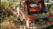 Aventura na Selva Web