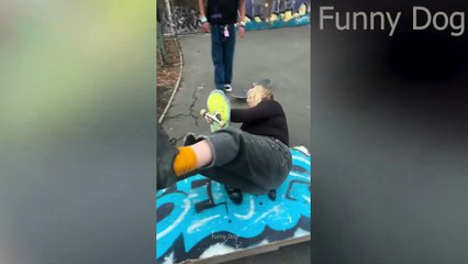 Best Funny Videos 🤣 - People Being Idiots _ 🤣 Try Not To Laugh  #6