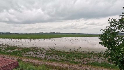 Rawal Lake Latest Update Lake view point