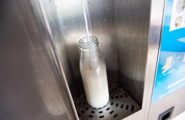 Semi-skimmed milk in tea may lower depression and anxiety risks