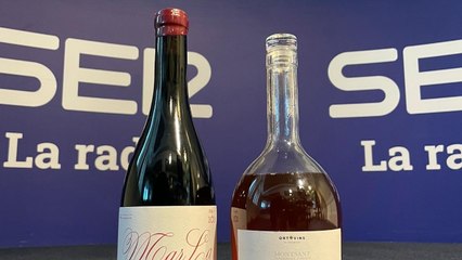 El vampiro del vino | Monográfico de Tarragona: Priorat y Montsant