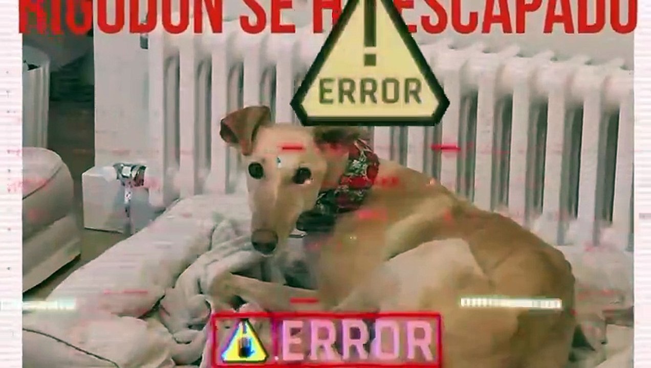 Rescate de Rigodón