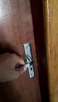 Mais de uma tonelada de drogas é encontra em casa isolada em área de mata