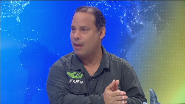 Ambientalistas piden que se hagan proyectos amigables con el ambiente