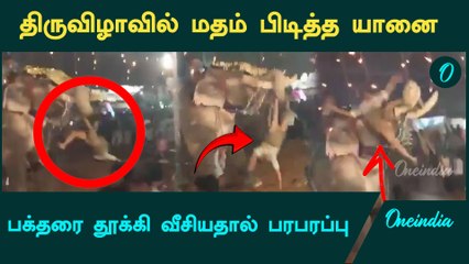Kerala கோயில் திருவிழாவில் யானைக்கு மதம் பிடித்ததால் பரபரப்பு | Oneindia Tamil