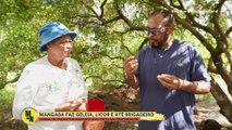 Tá no Campo, Tá na Mesa: conheça a capital da mangaba, em Sergipe | Melhor da Noite