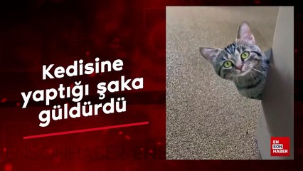 Kedisine yaptığı şaka güldürdü