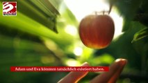 Adam und Eva: Gab es sie wirklich?