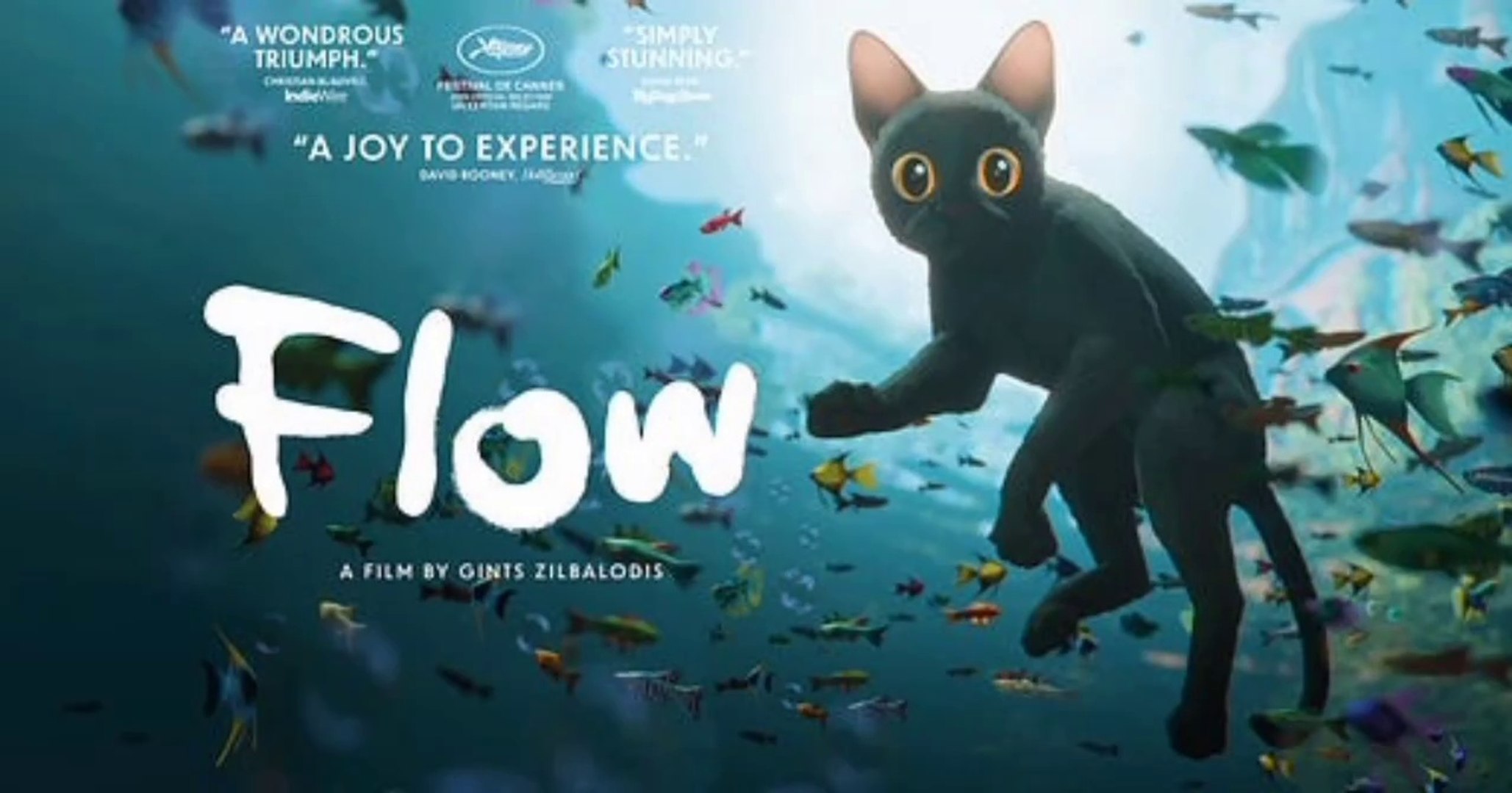 ⁣Flow English 2025 animated Hollywood movie